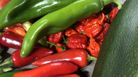 Rogues Hot pepper collection.