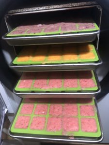 Freeze dried baby/toddler fruit melts are a great healthy on-the-go snack