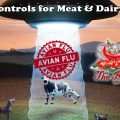 Bird Flu being used for Controls for Meat & Dairy --- Episode 104 The Rogues Tavern Talk