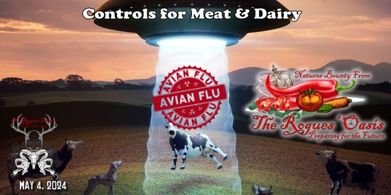 Bird Flu being used for Controls for Meat & Dairy --- Episode 104 The Rogues Tavern Talk