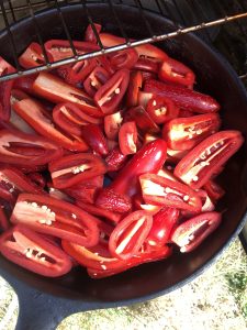 Red Jalapenos going into the smoker
