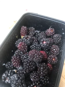 Luscious blackberries in a sleek black container, capturing their natural freshness and juicy allure.